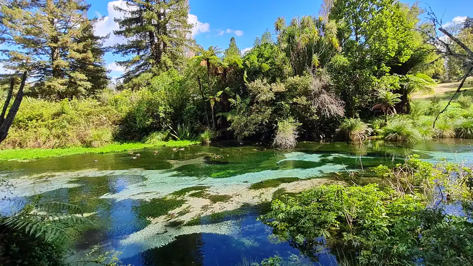하무라나 샘물 — 오후 산책 코스